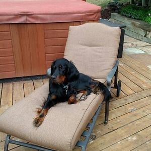 Meet your Posher, Don